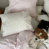Bedding>Djerf Avenue Pillow Case Summer Field